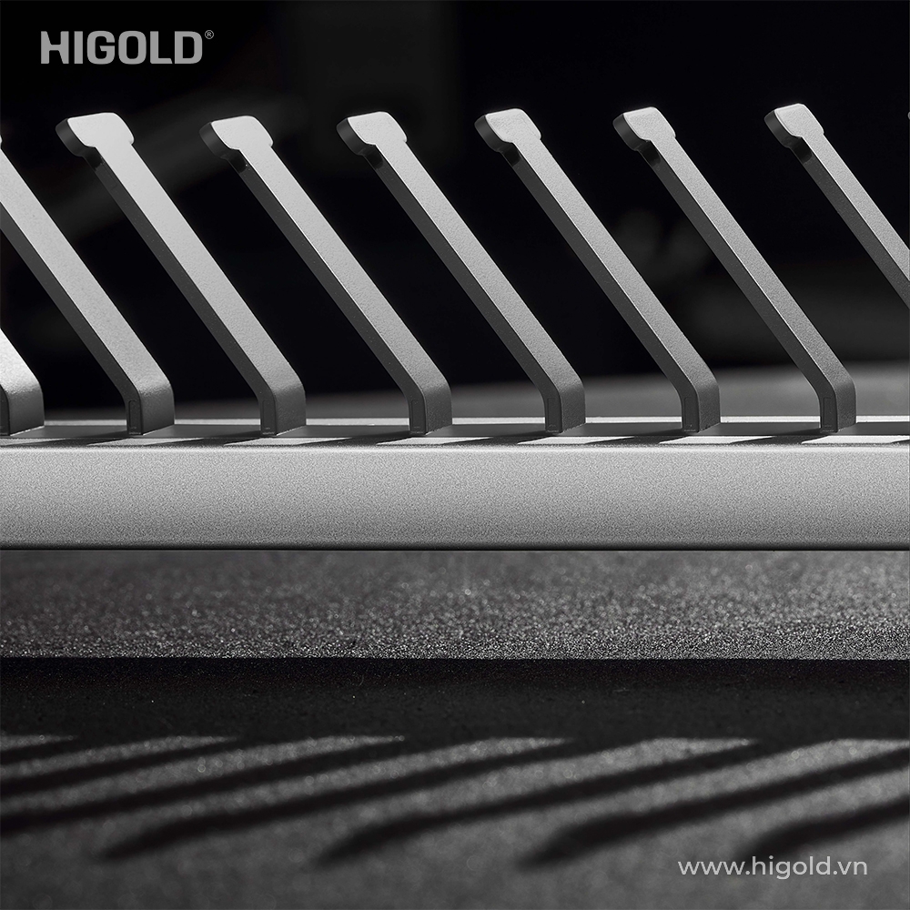 CÔNG TY TNHH HIGOLD HARDWARE VIỆT NAM 